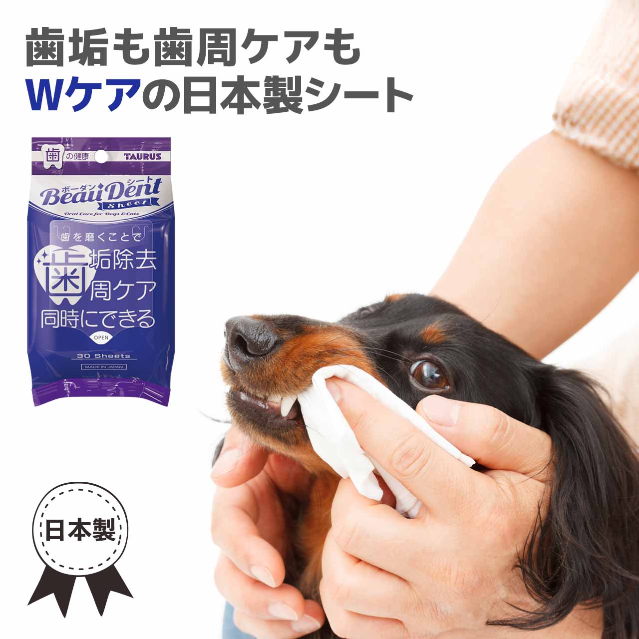 トーラス ボーダンシート 30枚