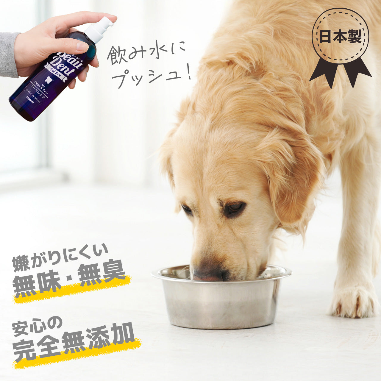 トーラス ボーダン 240ml