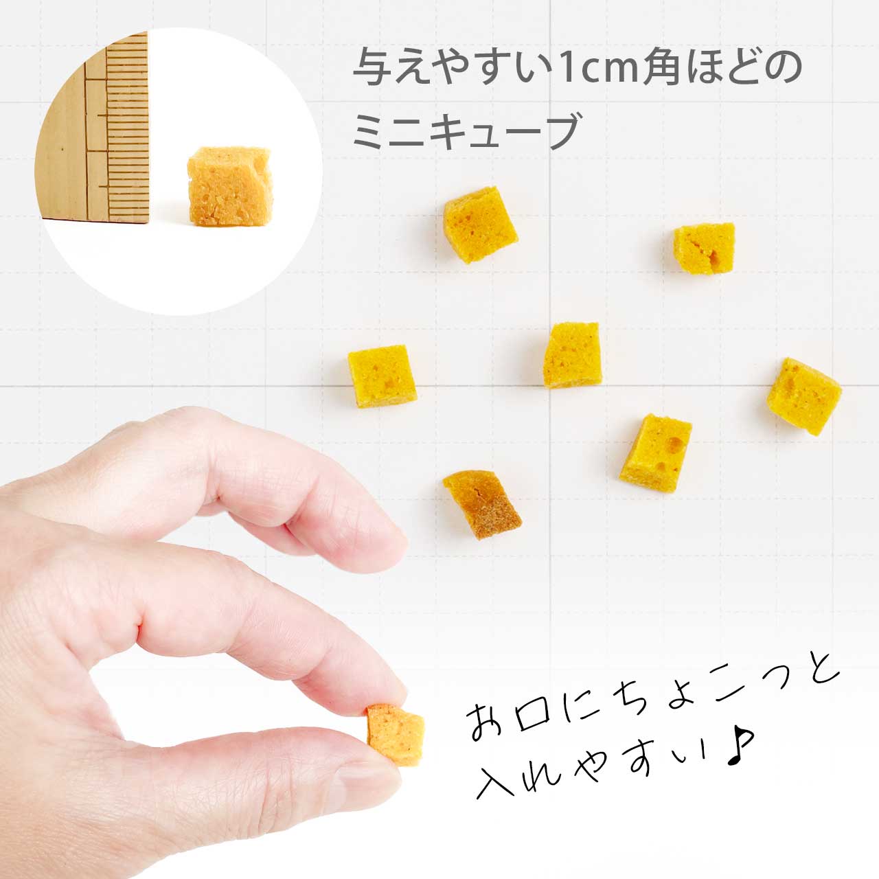 ドッグツリー 米粉プチラスク かぼちゃ&鹿肉 20g入り