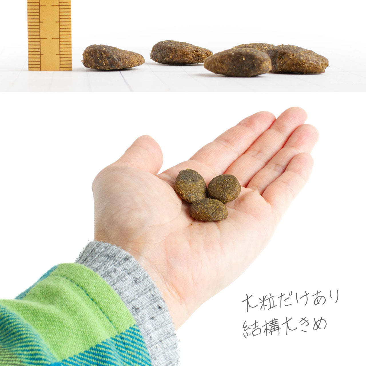 フィッシュ4ドッグ ファイネスト サーモン 大粒 6kg