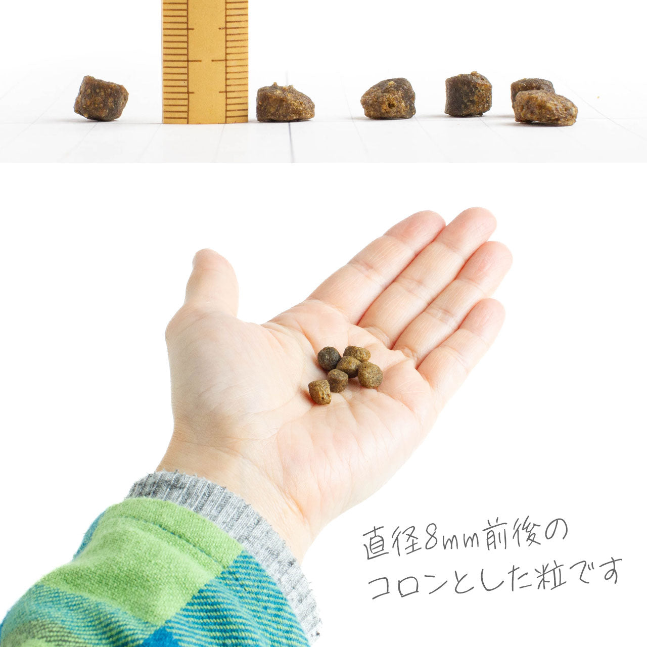 フィッシュ4ドッグ ファイネスト サーモン 小粒 6kg