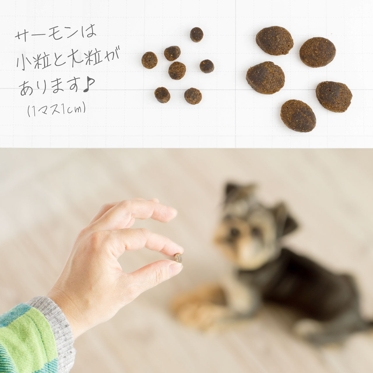 フィッシュ4ドッグ ファイネスト サーモン 小粒 1.5kg