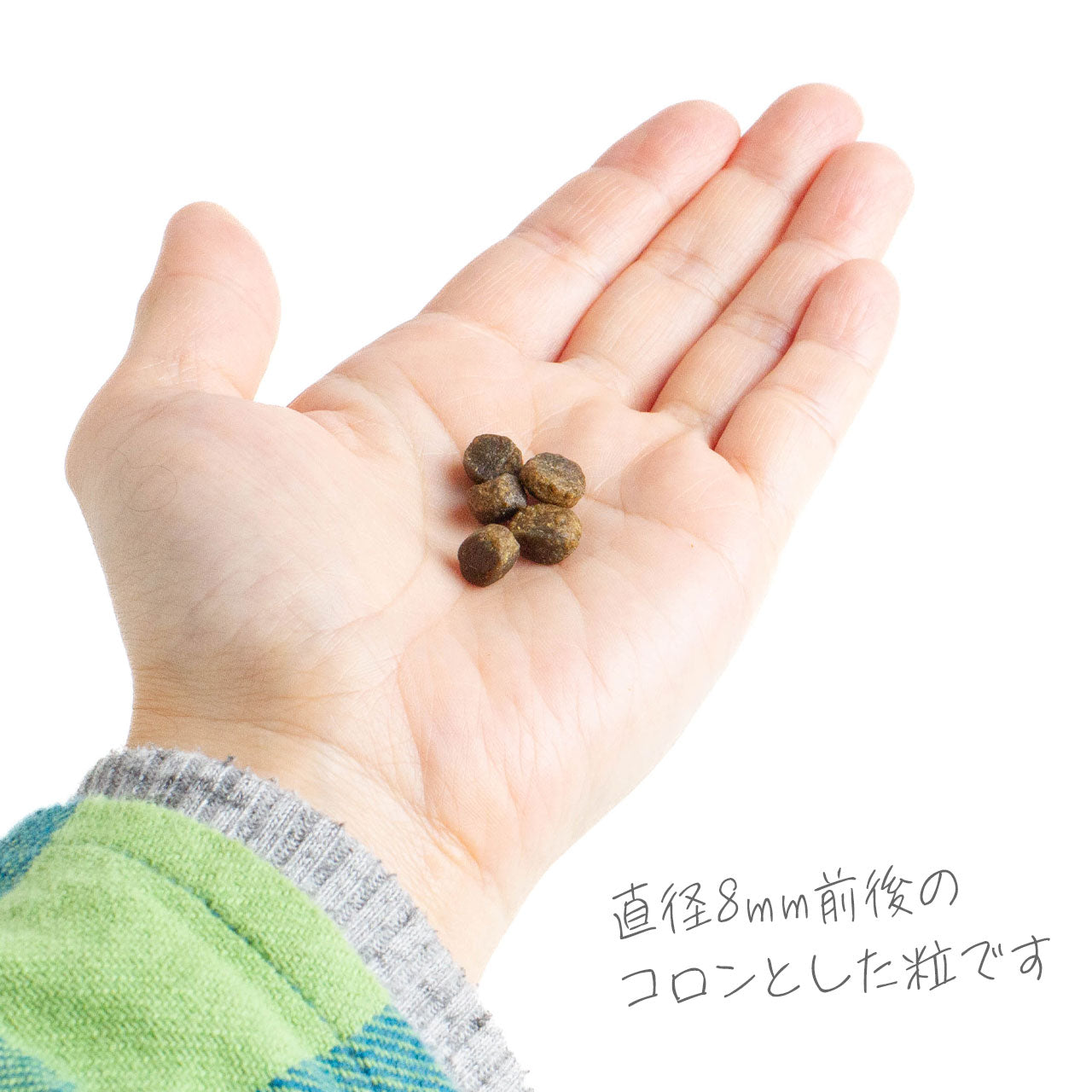 フィッシュ4ドッグ ファイネスト サーモン シニア 小粒 6kg