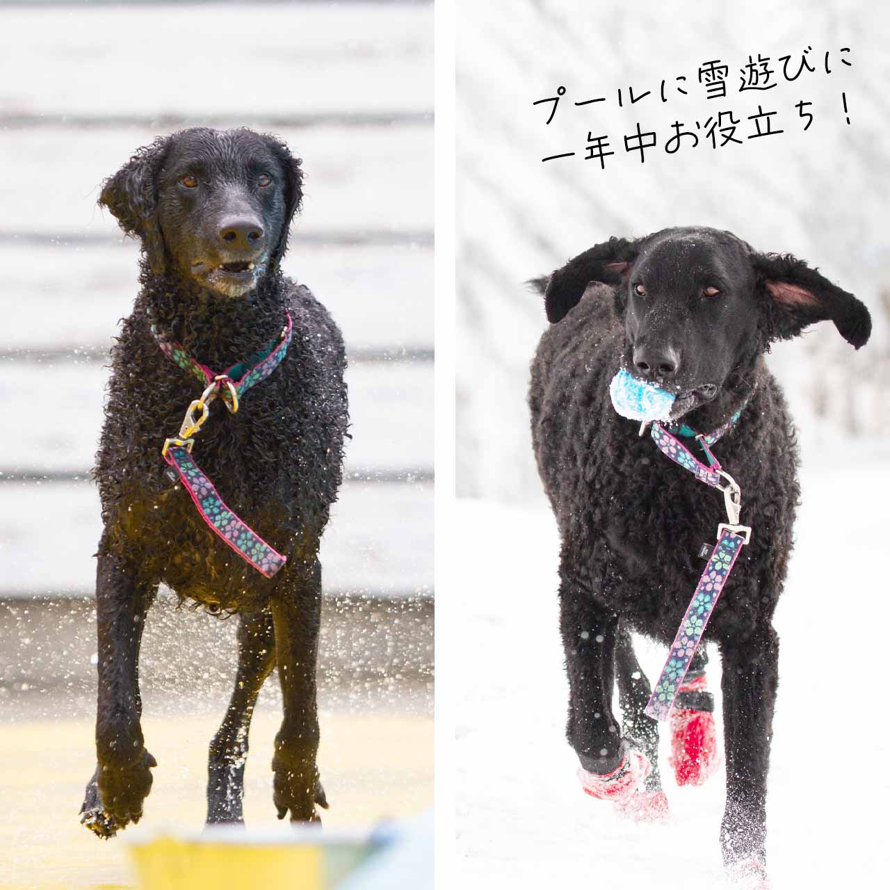 ルパイン トレーニングタブ 2.5cm幅 長さ約30cm メール便OK