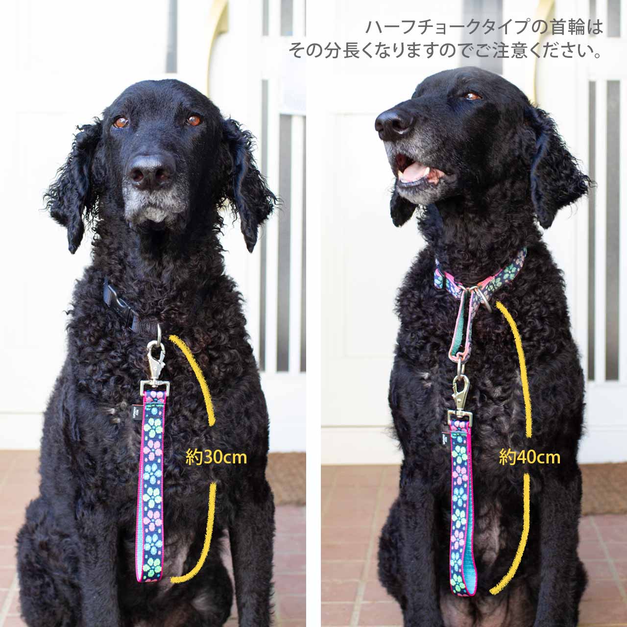 ルパイン トレーニングタブ 2.5cm幅 長さ約30cm メール便OK
