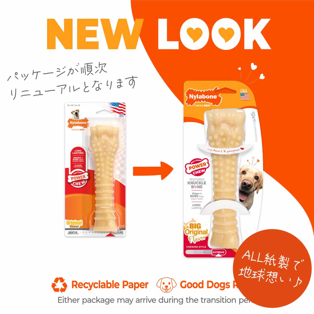ナイラボーン デュラチュウ ボーン スーパーサイズ