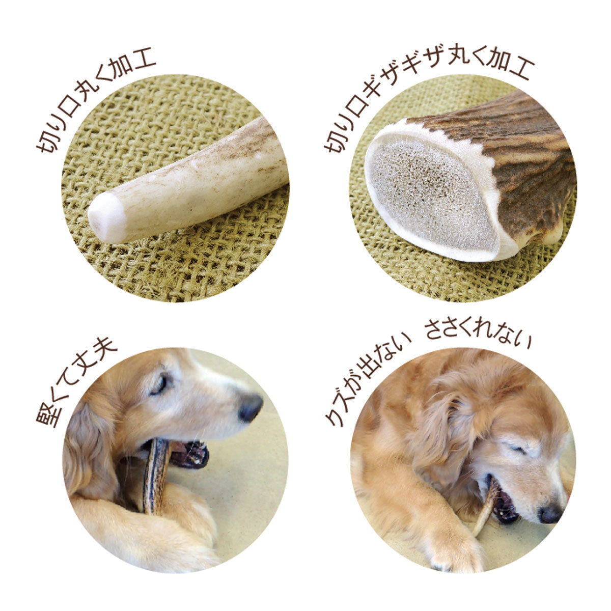 ベニソンアントラー M 小型犬・中型犬用