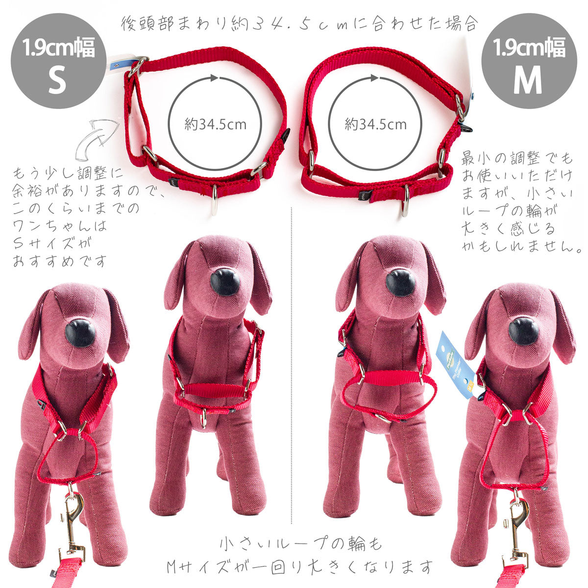 ペットセーフ プレミアカラー 1.9cm幅 Sサイズ メール便OK