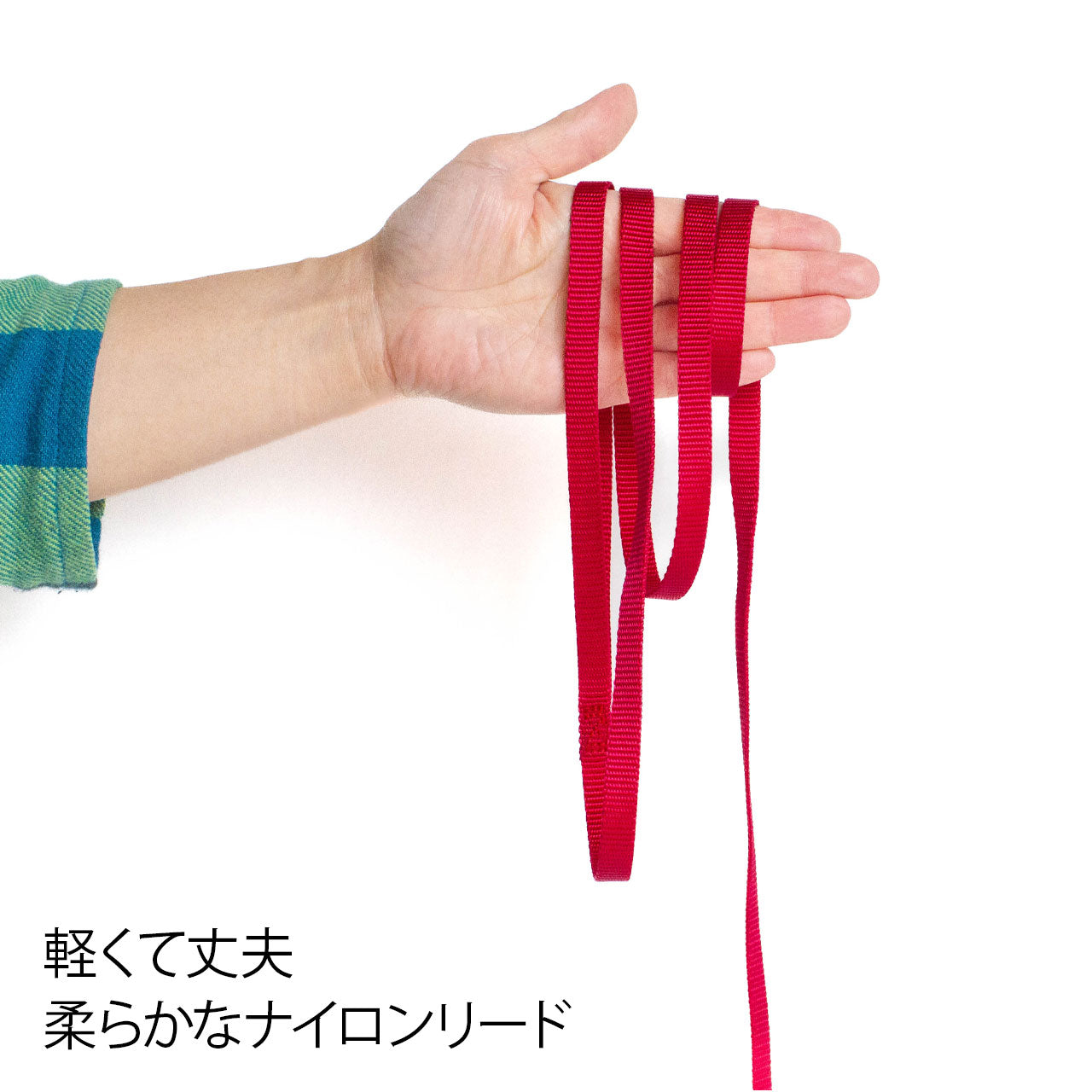 ペットセーフ ナイロンリード 1cm幅 長さ180cm (プレミアリード) メール便OK