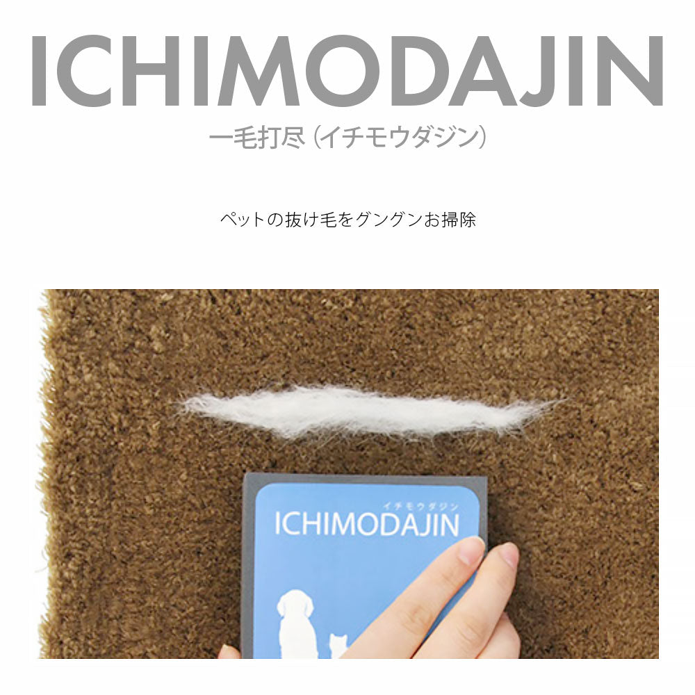 一毛打尽 ハンディタイプ クルマ・ソファ用
