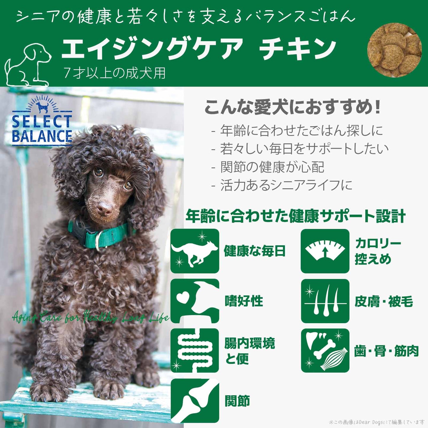セレクトバランス エイジングケア チキン 小粒 7kg 7才以上の成犬用