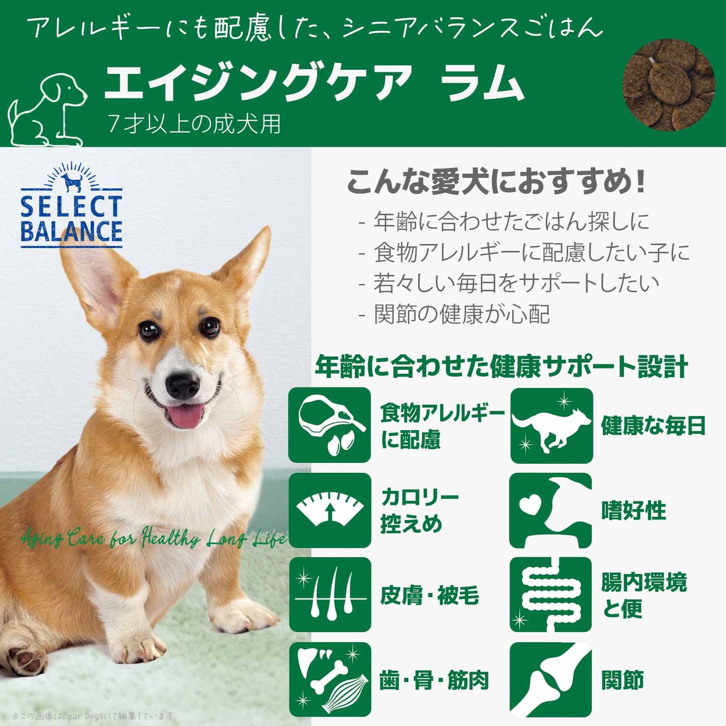 セレクトバランス エイジングケア ラム 小粒 7kg 7才以上の成犬用
