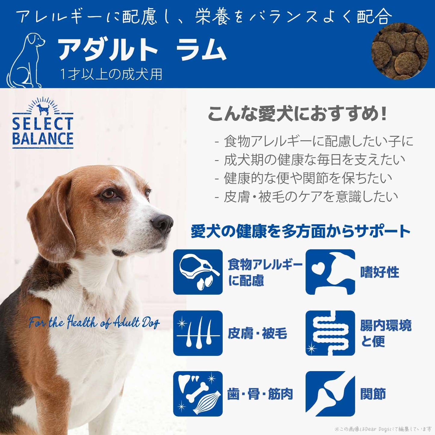 セレクトバランス アダルト ラム 小粒 7kg 1才以上の成犬用