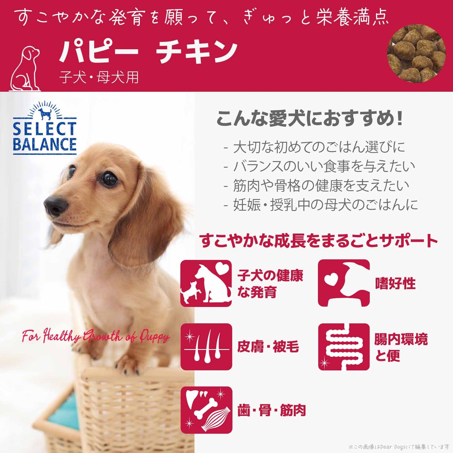 セレクトバランス パピー チキン 小粒 3kg 子犬・母犬用