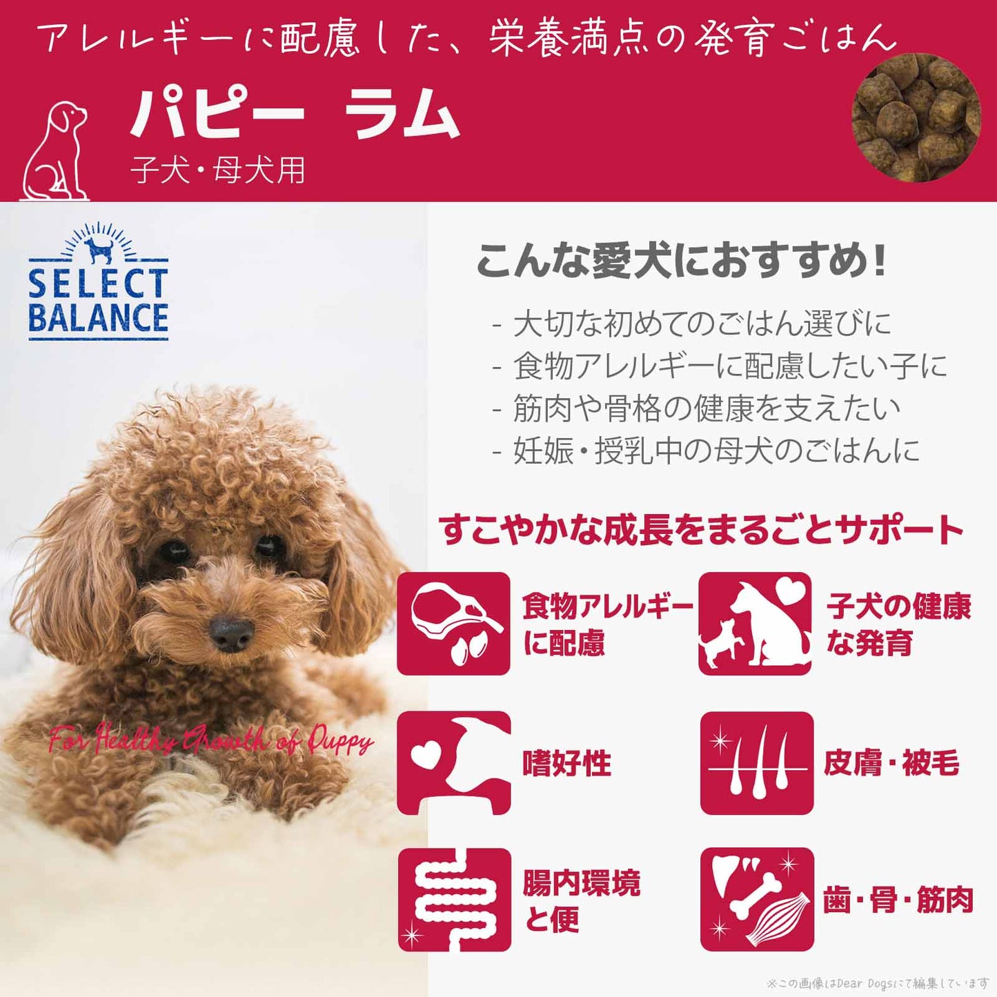 セレクトバランス パピー ラム 小粒 7kg 子犬・母犬用