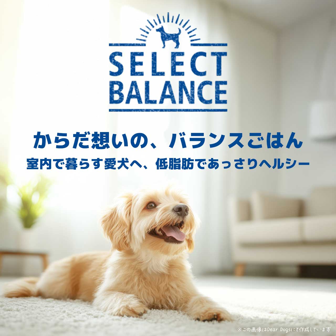 セレクトバランス スリム ラム 小粒 1kg 成犬の体重管理用