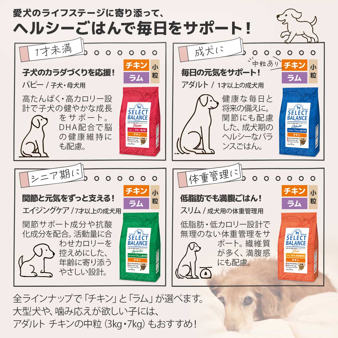セレクトバランス スリム ラム 小粒 1kg 成犬の体重管理用