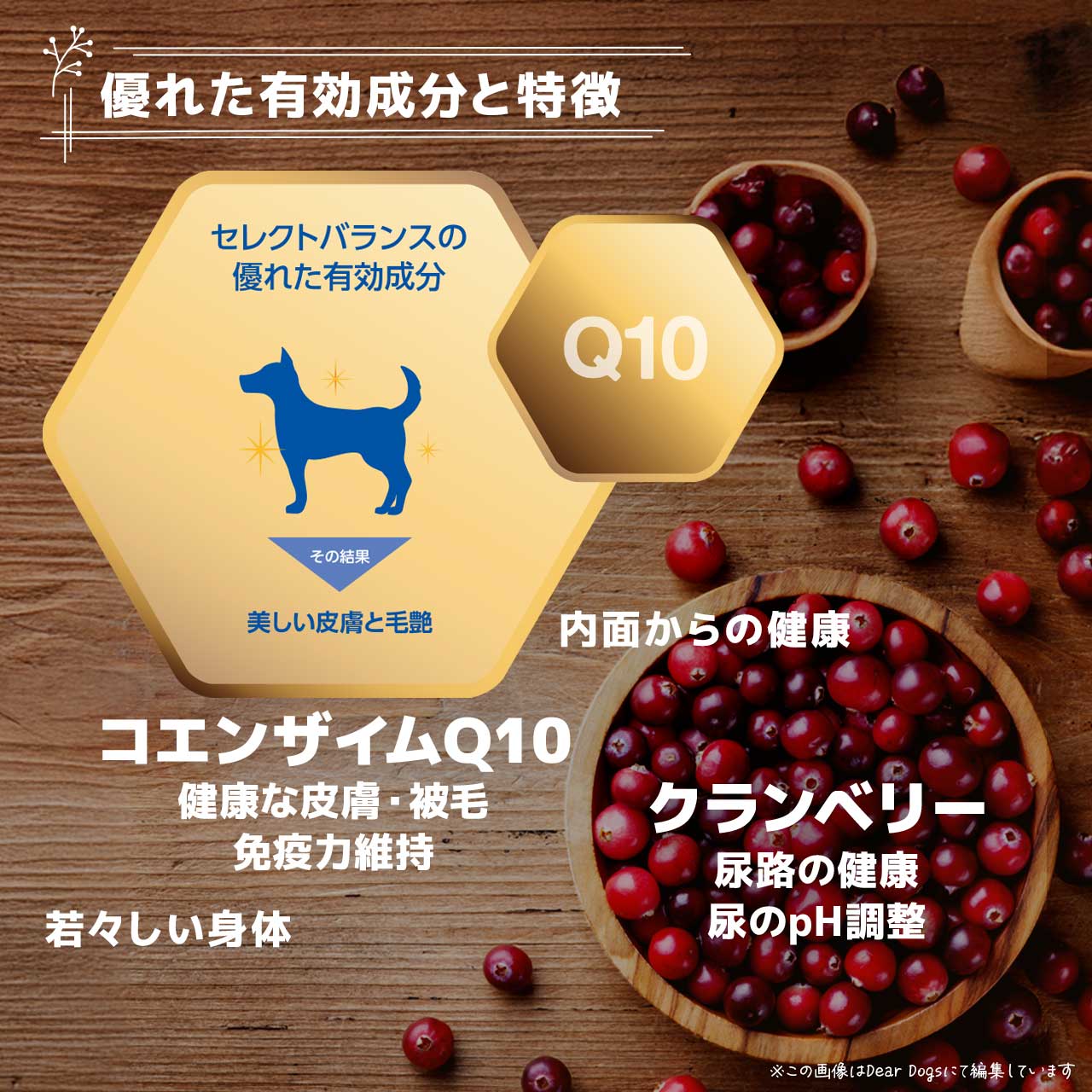 セレクトバランス スリム ラム 小粒 1kg 成犬の体重管理用