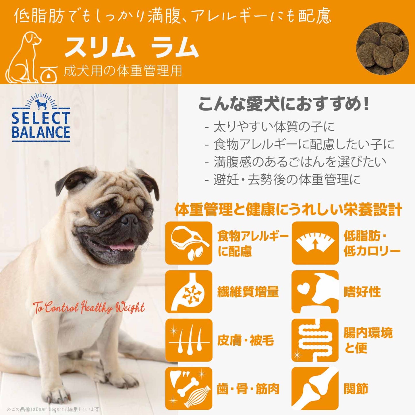 セレクトバランス スリム ラム 小粒 1kg 成犬の体重管理用