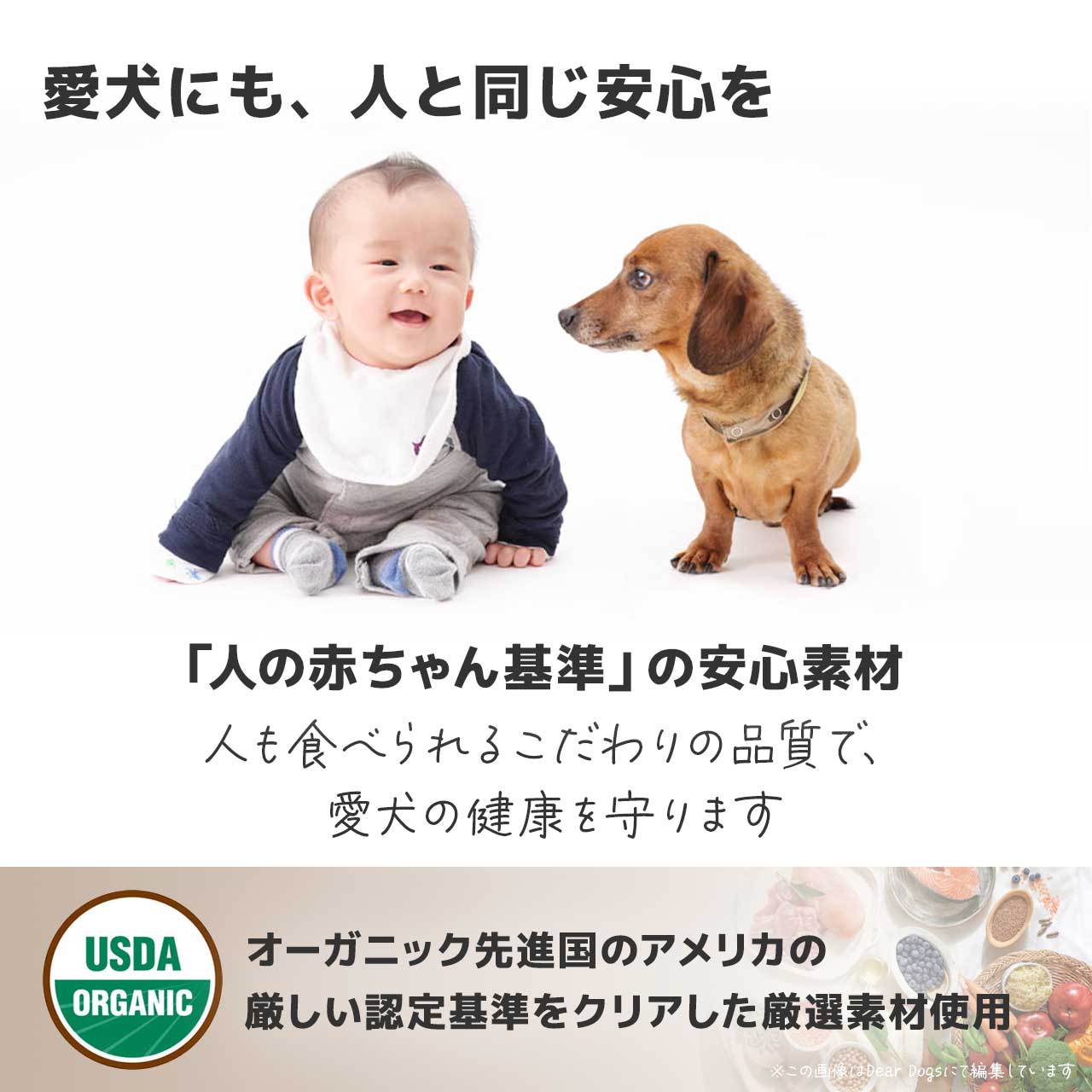ソルビダ オーガニック&グレインフリー ドッグフード