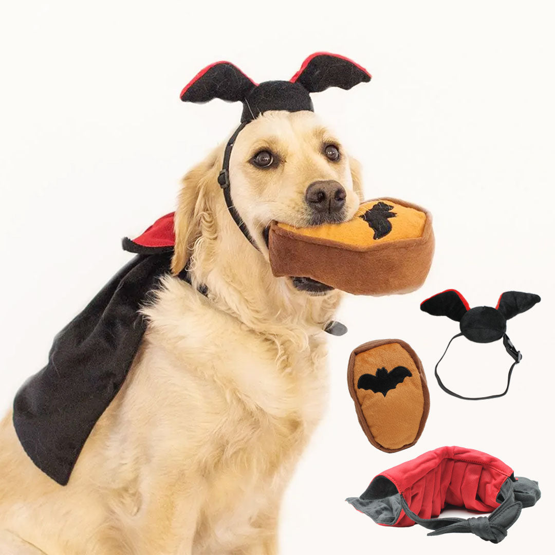 ジッピーパウズ ホリデー ハロウィン コスチュームキット ドラキュラ 3点セット