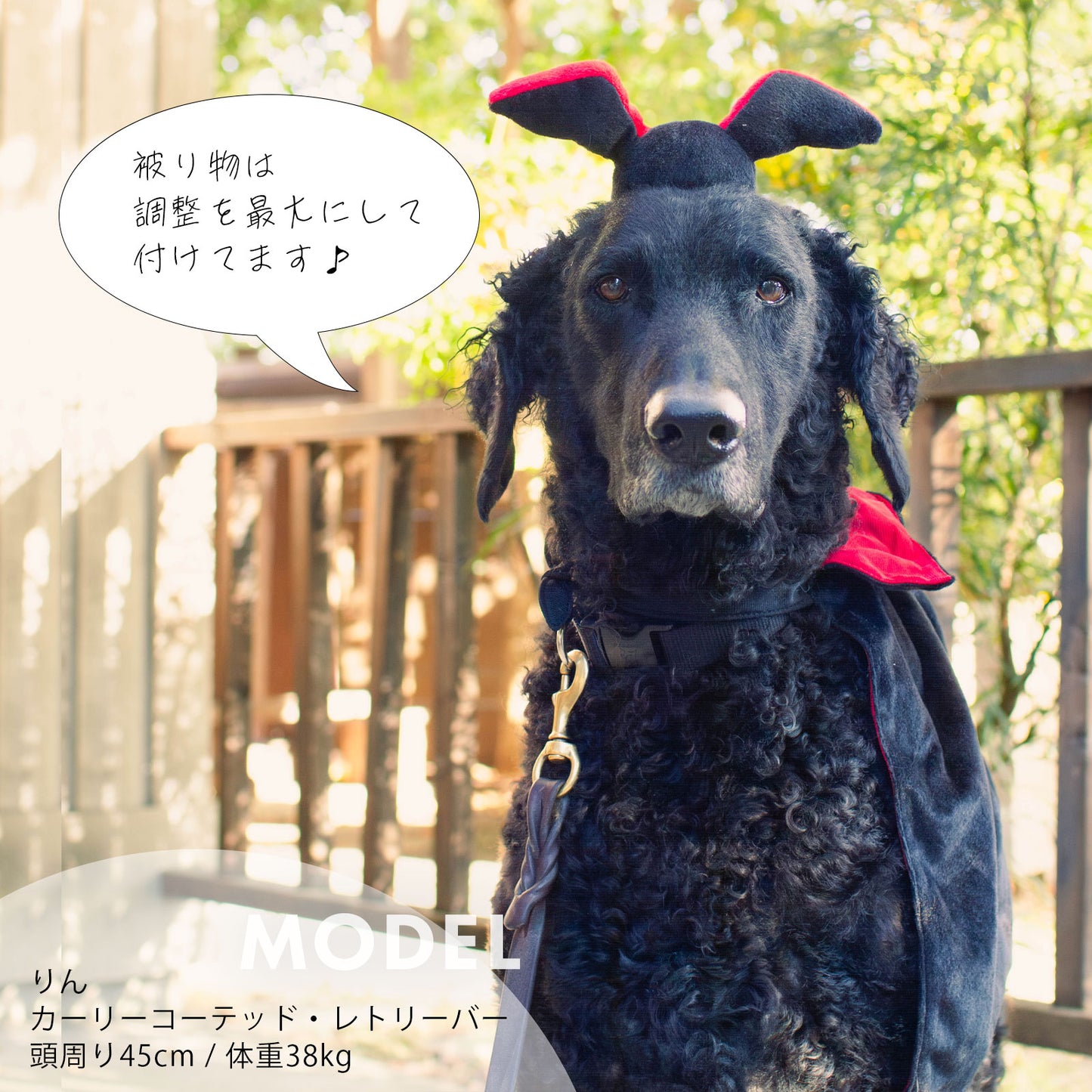 ジッピーパウズ ホリデー ハロウィン コスチュームキット ドラキュラ 3点セット
