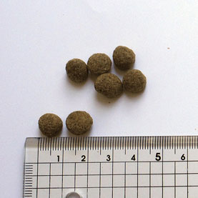 ブラックウッド LOW FAT 20kg (5kg×4袋) 体重管理 成犬〜老犬用 チキン