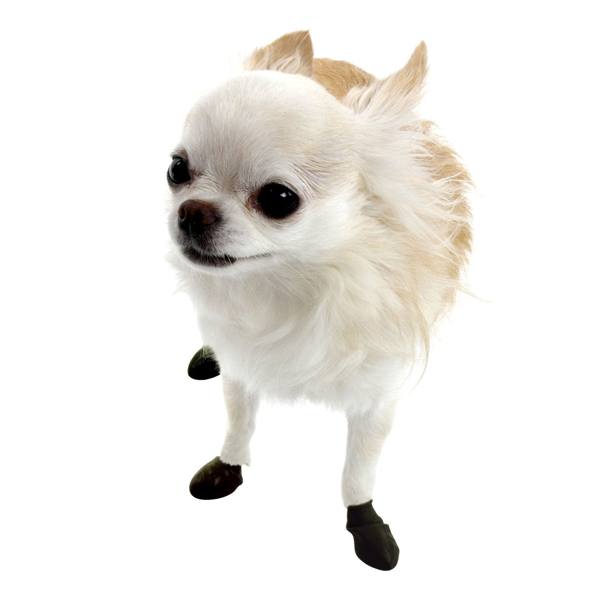 ポウズ ラバードッグブーツ Tinyサイズ ブラック 12枚入 4本足3回分 超小型犬向け
