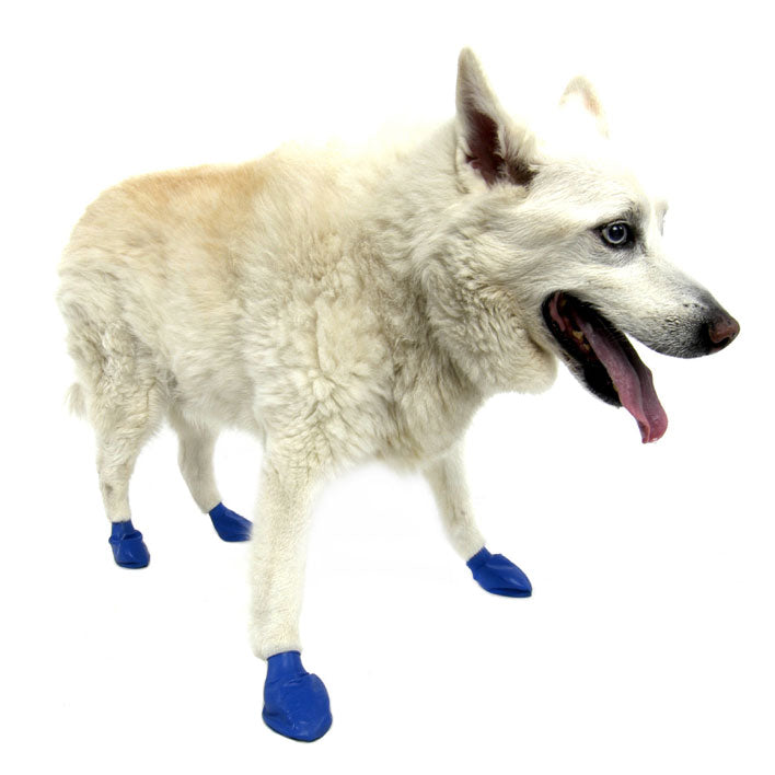 ポウズ ラバードッグブーツ Mサイズ ブルー 12枚入 4本足3回分 中型犬〜大型犬向け