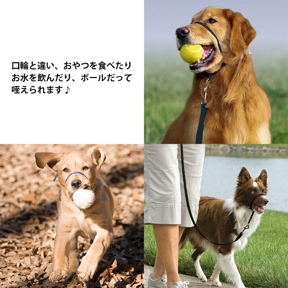 ペットセーフ ジェントルリーダー ヘッドカラー パッケージ版 日本語説明書付
