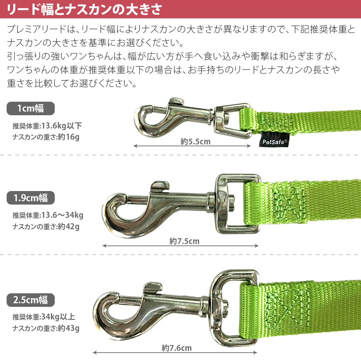 ペットセーフ ナイロンリード 2.5cm幅 長さ180cm (プレミアリード) メール便OK