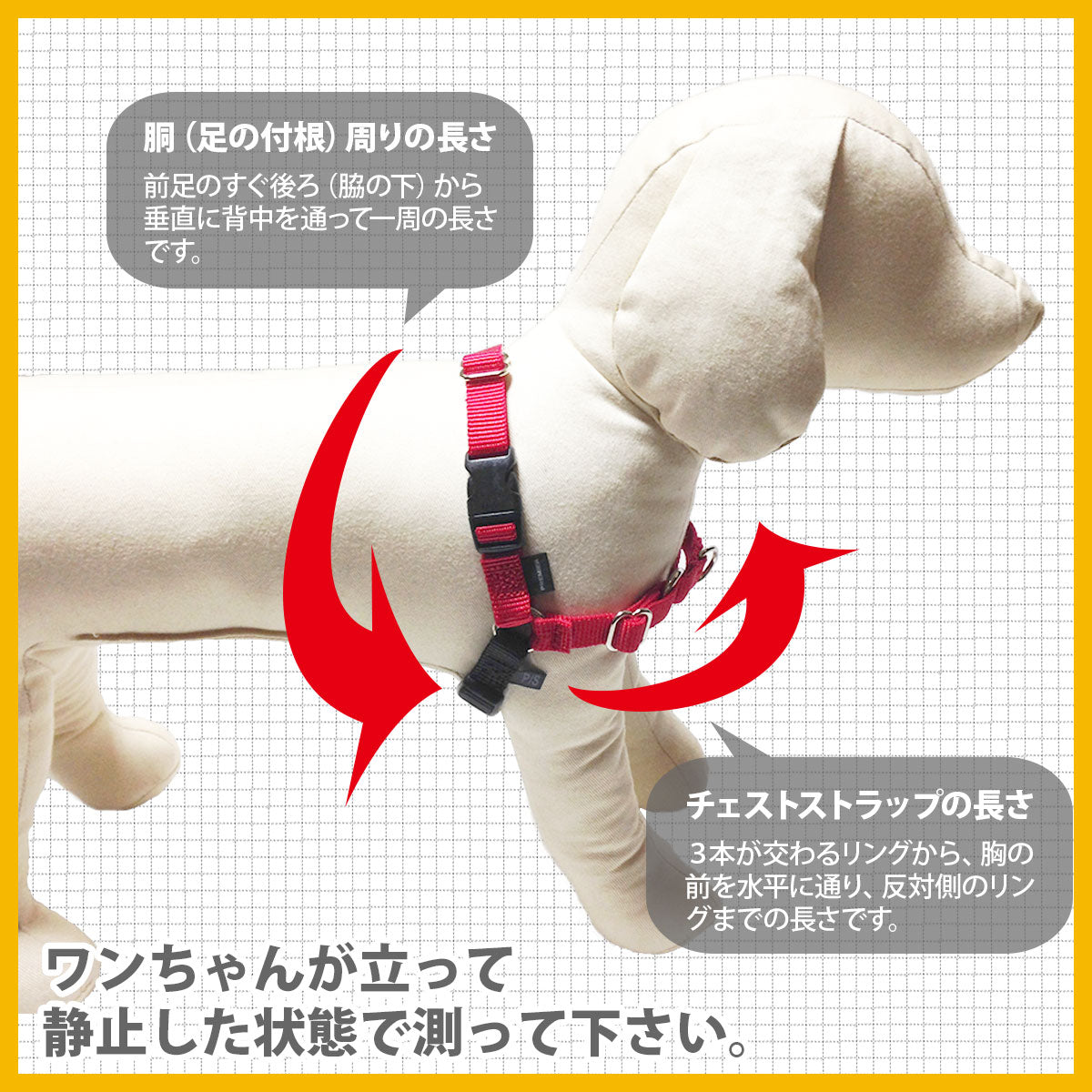 ペットセーフ デラックス イージーウォークハーネス 日本語説明書付