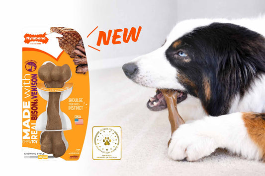 大型犬にも♪リアルな骨型の噛むおもちゃ ナイラボーン「フィーマーボーン」新発売！