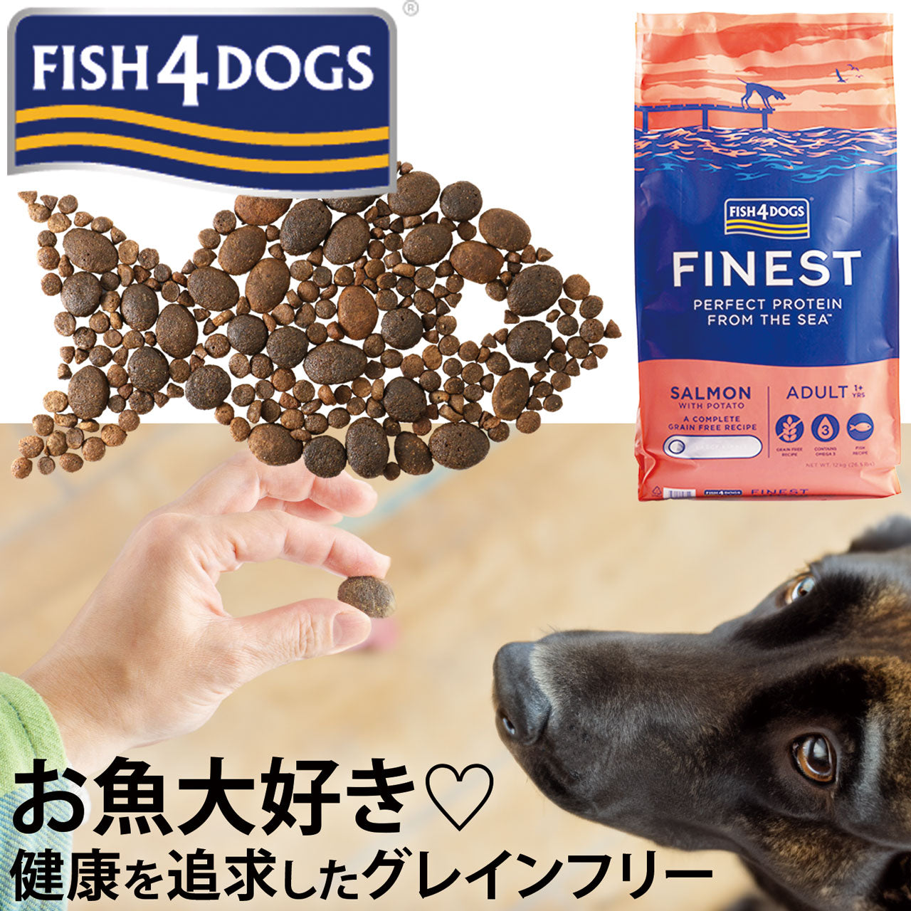 フィッシュ４ドッグ