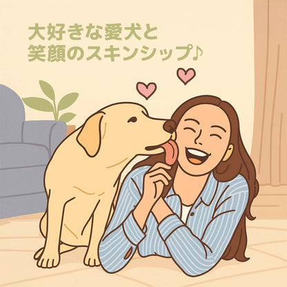 トーラス ボーダンシート 30枚