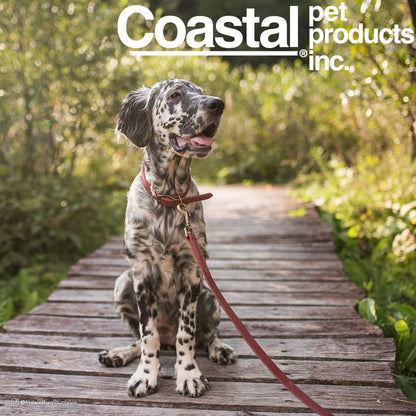 CoastalサークルTラスティックレザーリーシュ