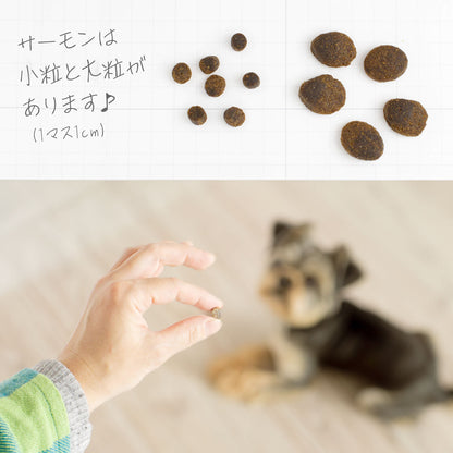 フィッシュ４ドッグ ファイネスト サーモン 小粒 3kg