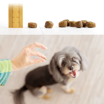 フィッシュ４ドッグ ファイネスト サーモン シニア 小粒 1.5kg