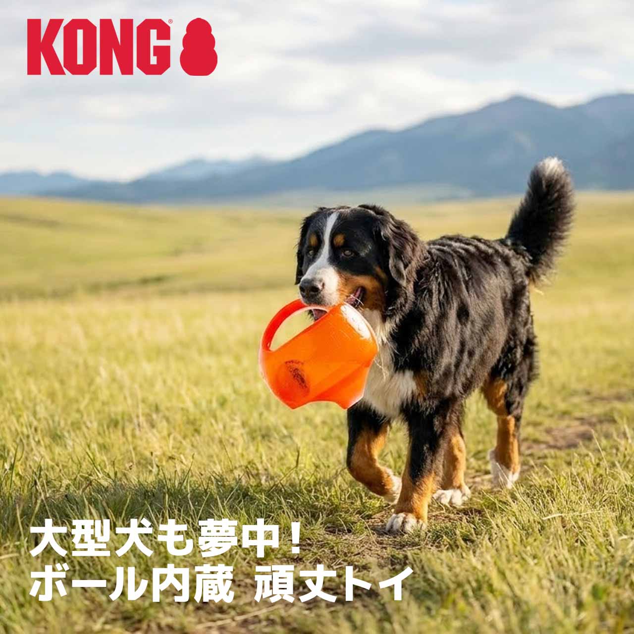 コング ジャンブラー ボール L/XLサイズ