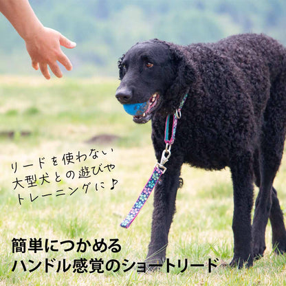ルパイン トレーニングタブ 2.5cm幅 長さ約30cm メール便OK