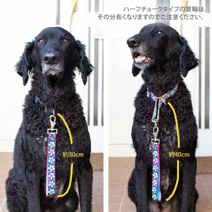 ルパイン トレーニングタブ 2.5cm幅 長さ約30cm メール便OK