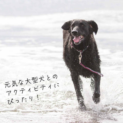 ルパイン トレーニングタブ 2.5cm幅 長さ約30cm メール便OK