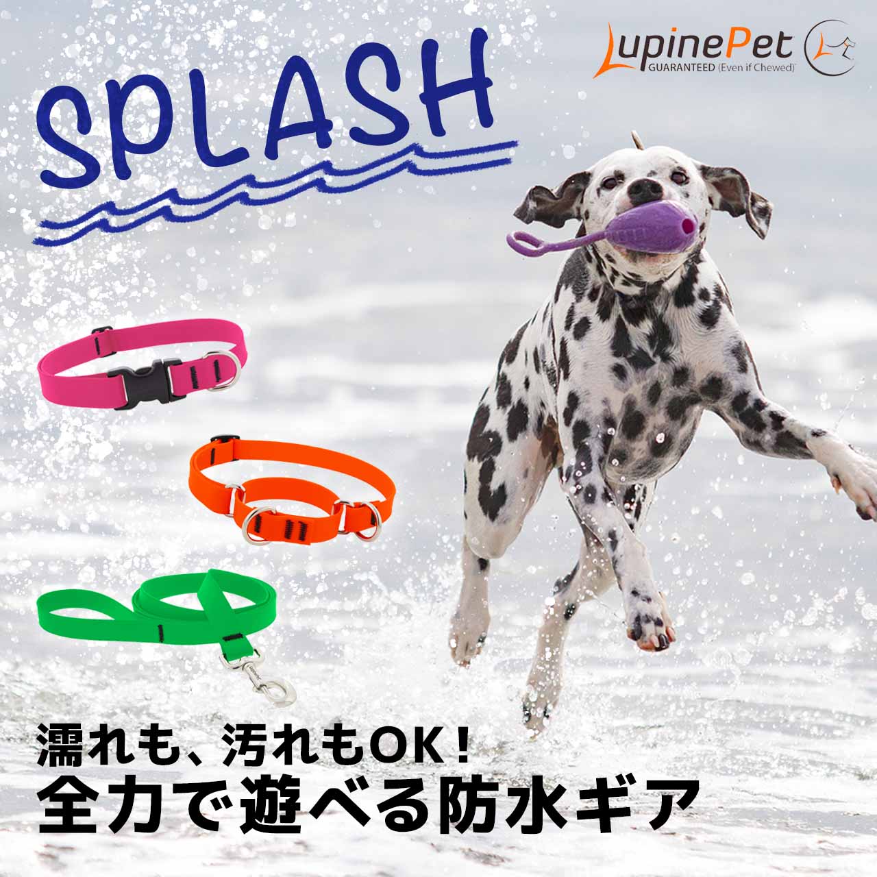 Lupine スプラッシュ マーチンゲールカラー 1.9cm幅 W19-S W19-M メール便OK