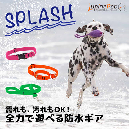 Lupine スプラッシュ マーチンゲールカラー 1.9cm幅 W19-S W19-M メール便OK