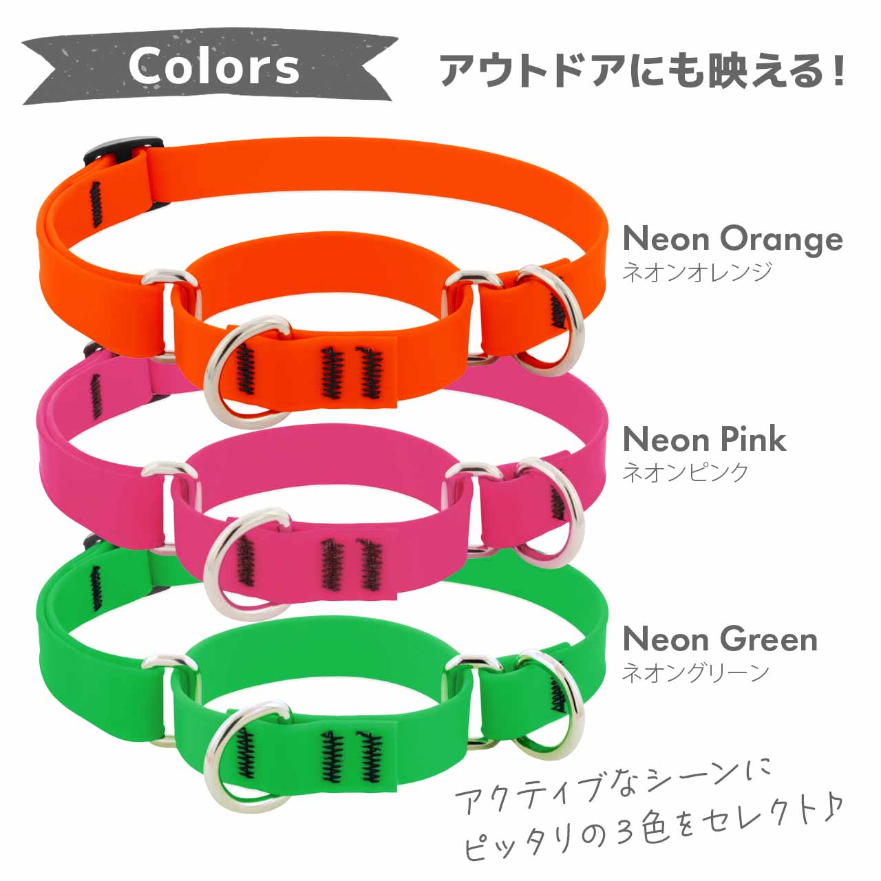 Lupine スプラッシュ マーチンゲールカラー 1.9cm幅 W19-S W19-M メール便OK