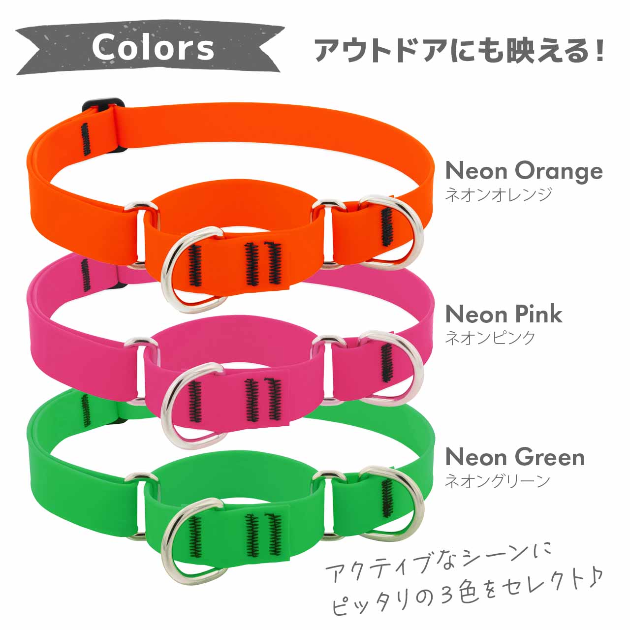 Lupine スプラッシュ マーチンゲールカラー 2.5cm幅 W25-M W25-L メール便OK