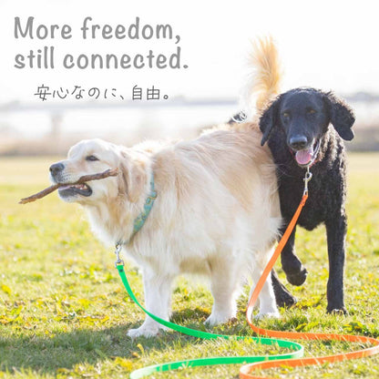 Lupine スプラッシュ トレーニングリード 長さ約4.5m  1.9cm幅 メール便OK