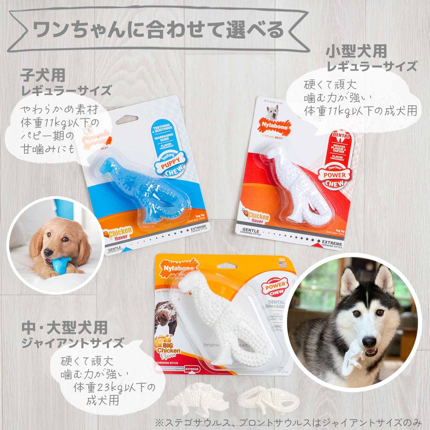 ナイラボーン デンタルチュウ ダイナソー レギュラーサイズ