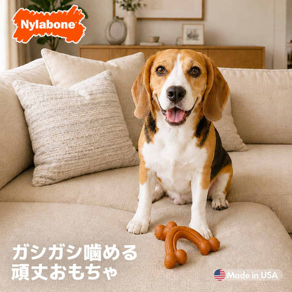 ナイラボーン パワーチュウ エルゴノミック ウィッシュボーン レギュラーサイズ