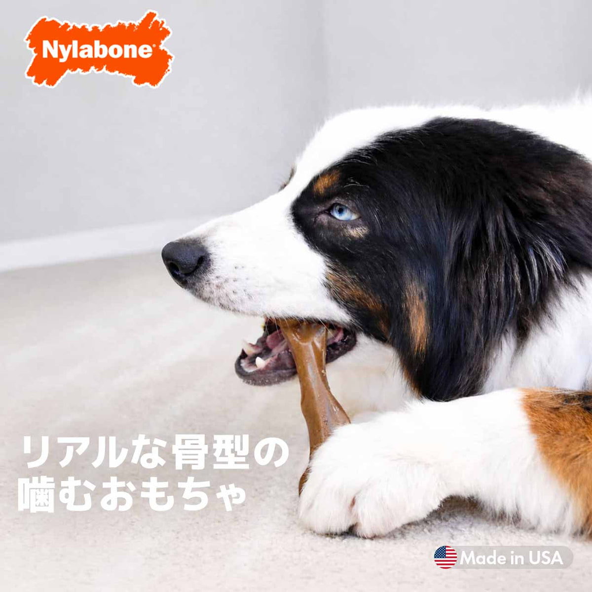 ナイラボーン ストロングチュウ フィーマーボーン ラージ